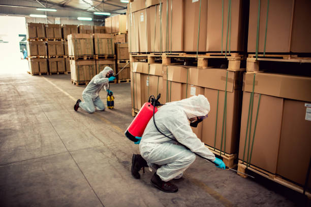 Reliable Garden Plain, KS Pest Control Solutions
