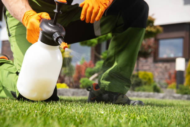 Best Affordable Pest Control Services  in Garden Plain, KS