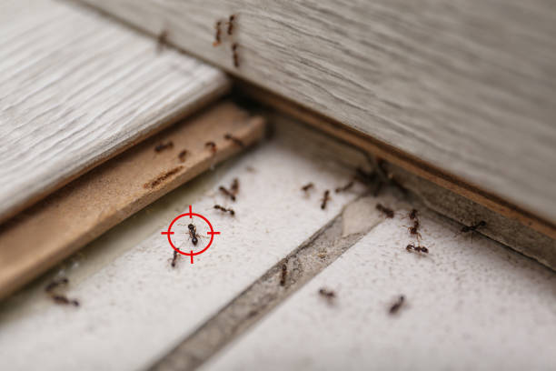 Best Best Pest Control Companies  in Garden Plain, KS