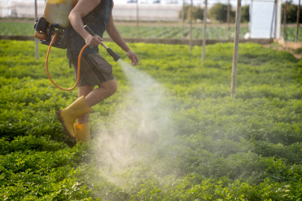 Garden Plain, KS Pest Control Company