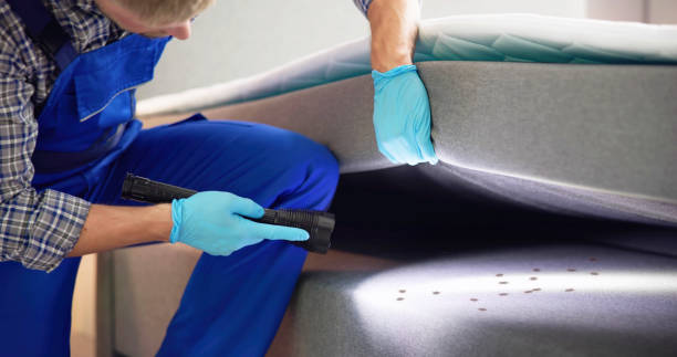 Best Local Pest Control Services  in Garden Plain, KS