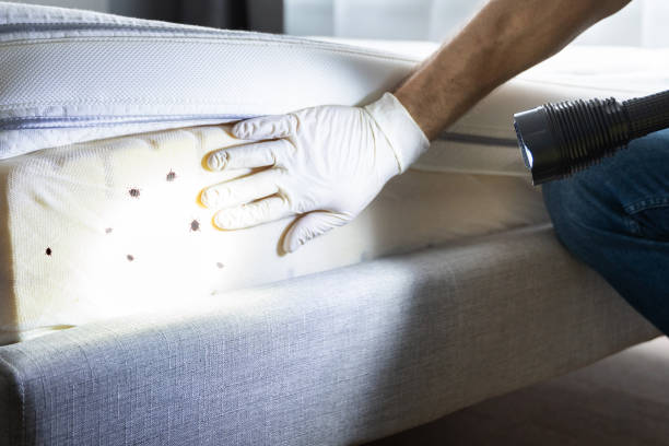 Best Pest Prevention Services  in Garden Plain, KS