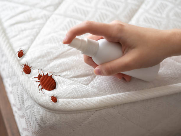 Pest Control for Restaurants in Garden Plain, KS