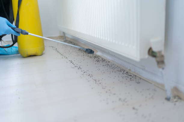Best Affordable Pest Control Services  in Garden Plain, KS